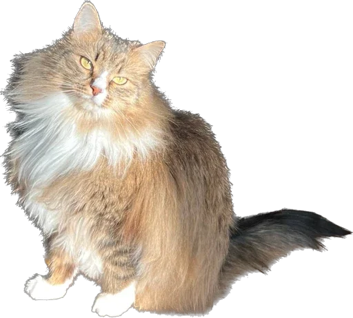 Sticker Martikonyaaa - 1