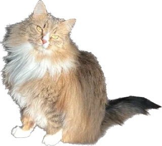 Sticker Marti&co - 0