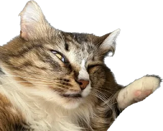 Sticker Marti&co - 11