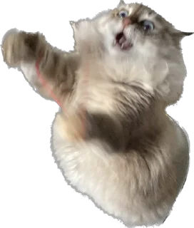 Sticker Marti&co - 6