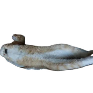 Стикер Мартин-заводчанин - 5