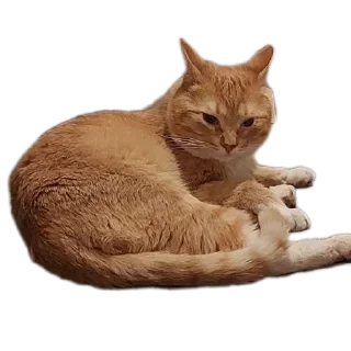 Стикер Мартин-заводчанин - 2