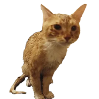 Стикер Мартин-заводчанин - 1