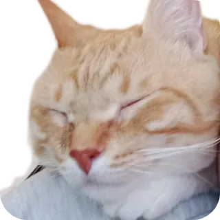 Стикер Мартин-заводчанин - 4