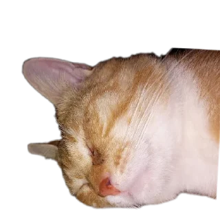 Стикер Мартин-заводчанин - 3