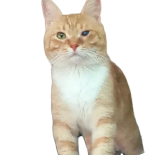 Стикер Мартин-заводчанин - 10