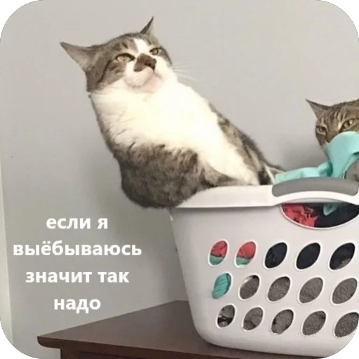 Sticker Marusya7145 - 1