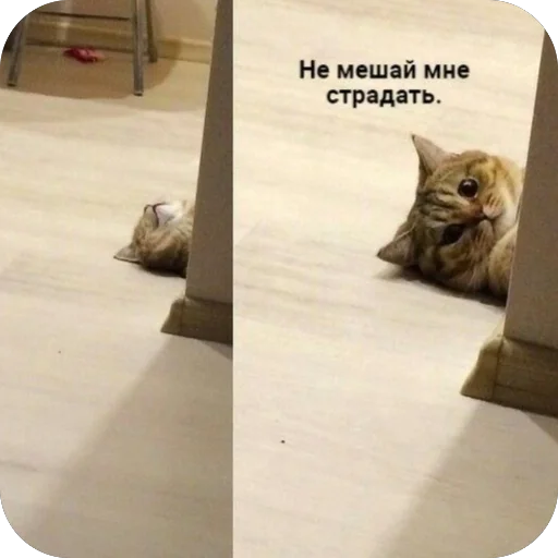 Стикер Marusya7145 - 1