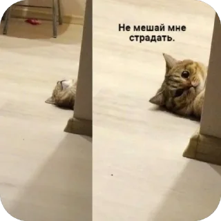 Sticker Маруся - 3