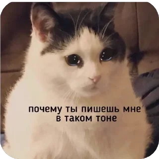 Sticker Маруся - 1