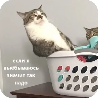 Sticker Маруся - 5