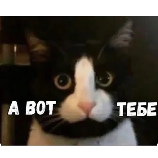 Sticker Маруся - 6