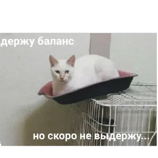 Sticker Маруся - 9