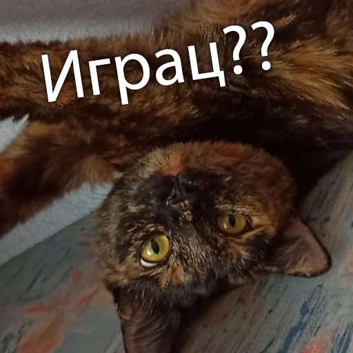 Sticker Marusya_Basya - 1