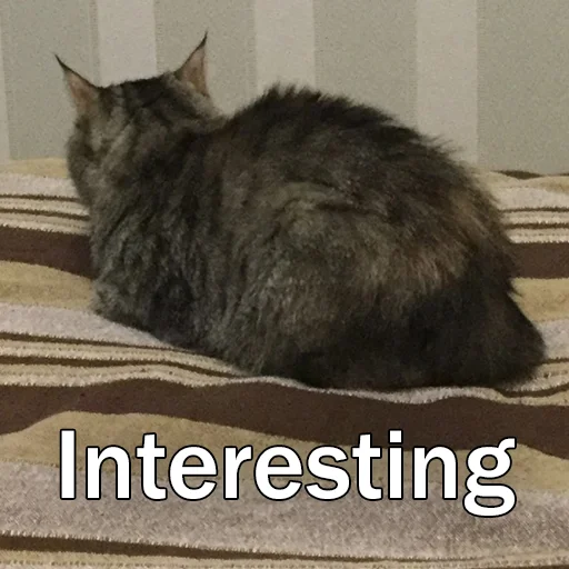 Стикер Marusya_Basya - 1