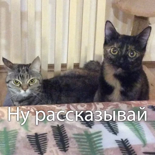 Sticker Marusya_Basya - 1