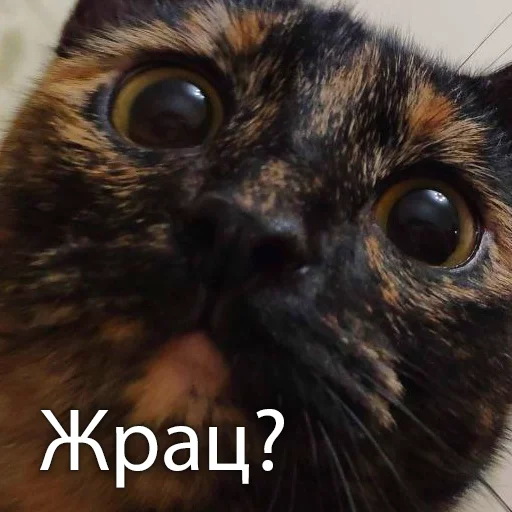 Sticker Marusya_Basya - 1