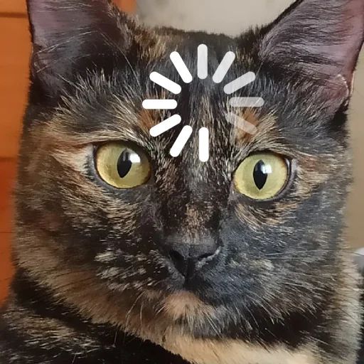 Sticker Marusya_Basya - 1