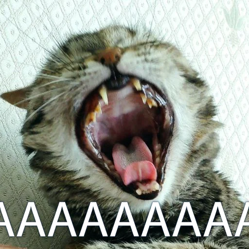 Sticker Marusya_Basya - 1