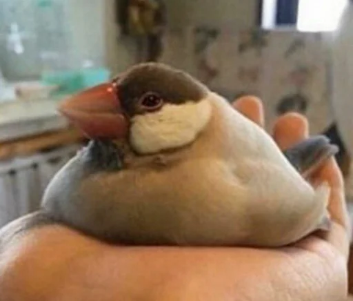 Стикер Mary0mary - 1