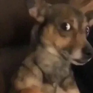 Sticker ماري @Cinnamon0 - 8