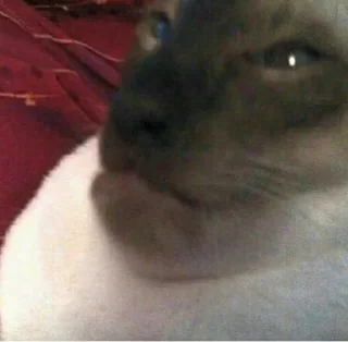 Sticker ماري @Cinnamon0 - 4