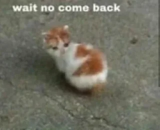 Sticker ماري @Cinnamon0 - 0