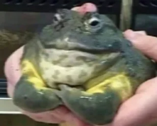 Sticker ماري @Cinnamon0 - 1