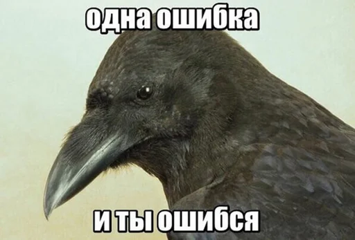 животное птица клюв