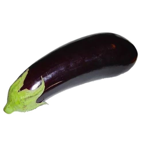 eggplant vegetable purple
