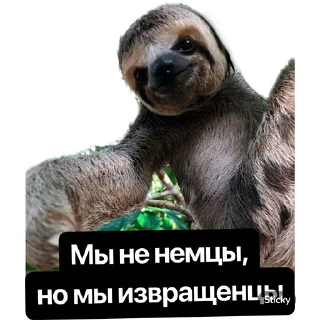 Sticker Наша Маша - 5