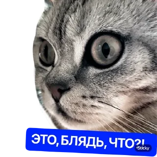 Sticker Наша Маша - 2