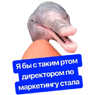 Sticker Наша Маша - 4