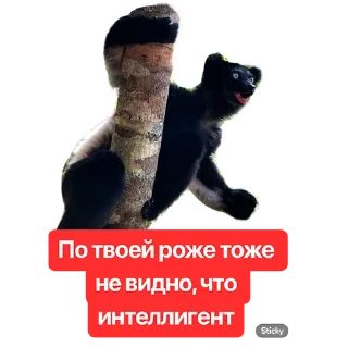 Sticker Наша Маша - 6