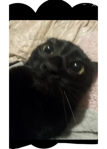 Sticker Машка - 9