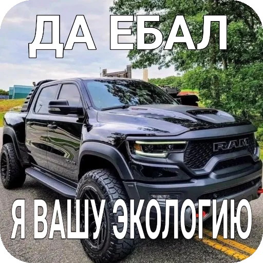 Стикер Mashonki84 - 1