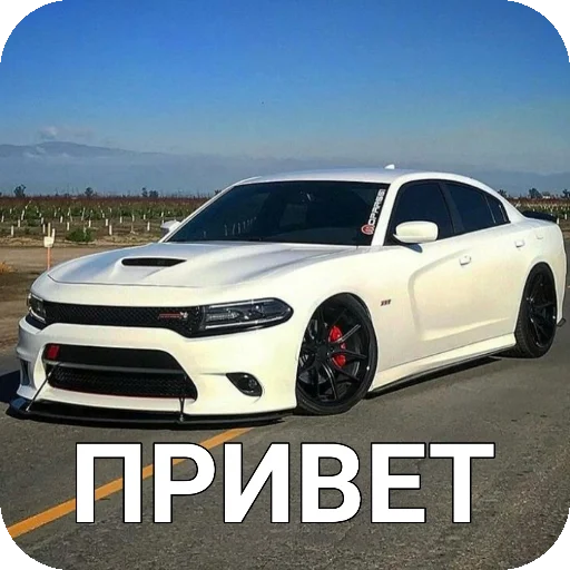 Стикер Mashonki84 - 1