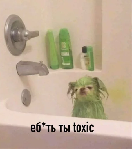 Sticker MasL 2.0 - 11