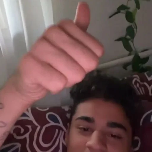 Человек человеческое лицо комнатный