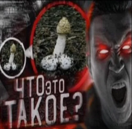 Sticker Maslennikovv - 1