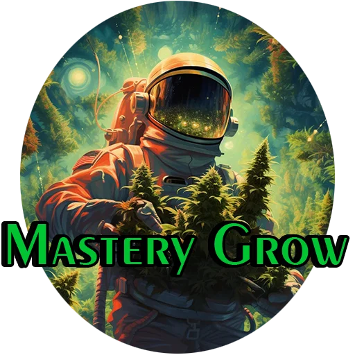 @Mastery_Growег - 