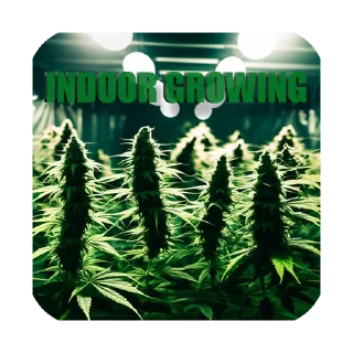 Sticker @Mastery_Growег - 4