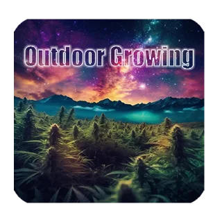 Sticker @Mastery_Growег - 1