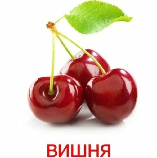 Sticker Вишня :: @fStikBot - 1