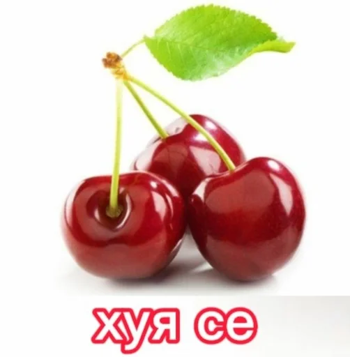 Sticker Вишня :: @fStikBot - 0