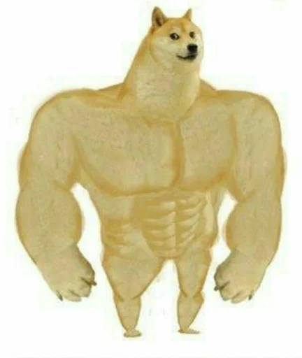 sketch drawing mammal