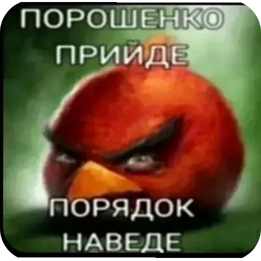 Sticker MatvejSynObezyany - 1