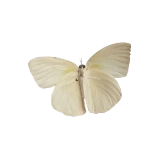 Стикер @loveebakery :: @fStikBot - 3