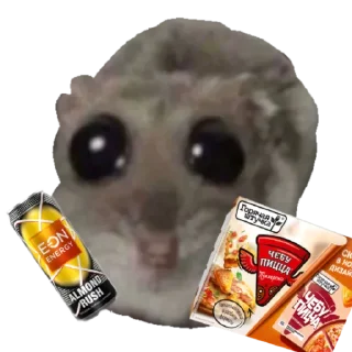 Стикер Mavka Hamster - 7