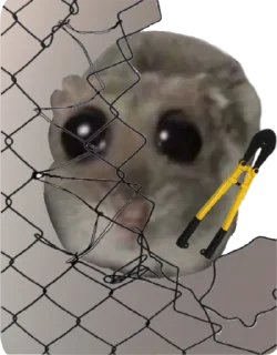 Стикер Mavka Hamster - 4